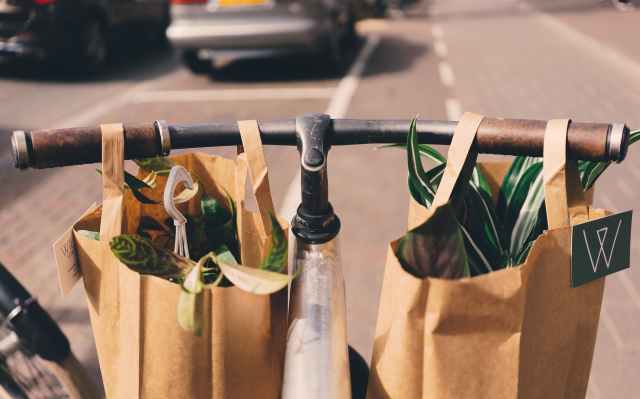 sustainable consumerism